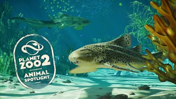 Planet Zoo: The Ultimate How To Guide to Master This Hot Game