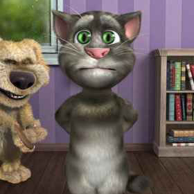 Talking Tom Funny Time